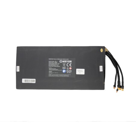 Batterie Storm Lithium Ion 60V 20,8Ah