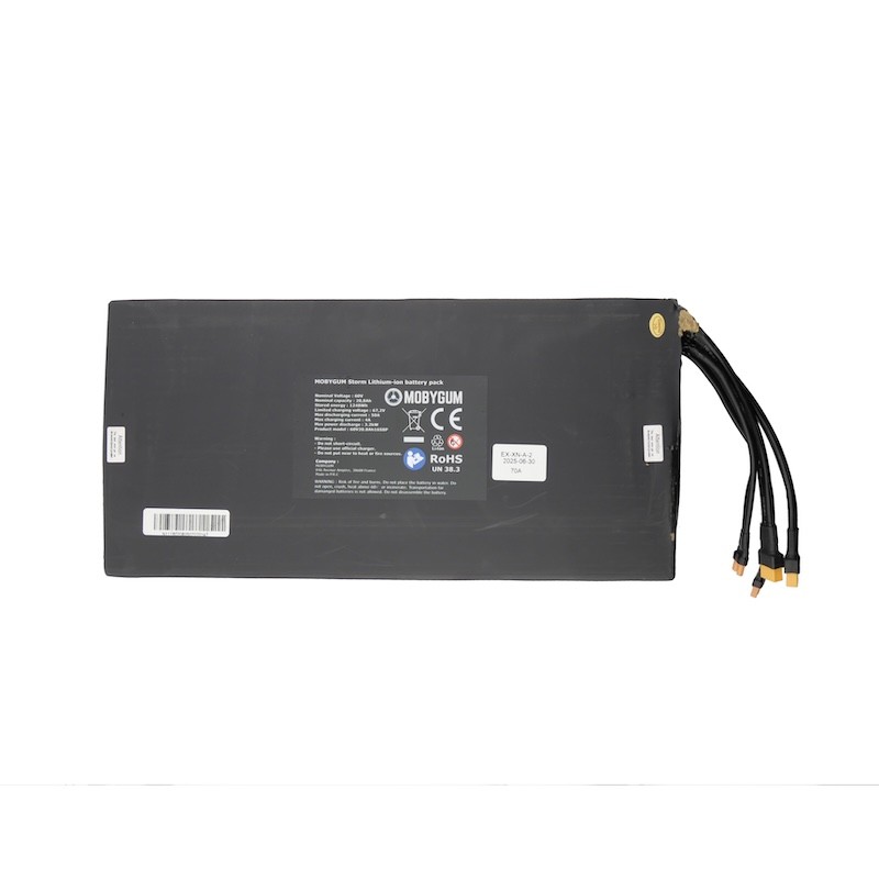 Batterie Storm Pro Lithium Ion 60V 27,4Ah