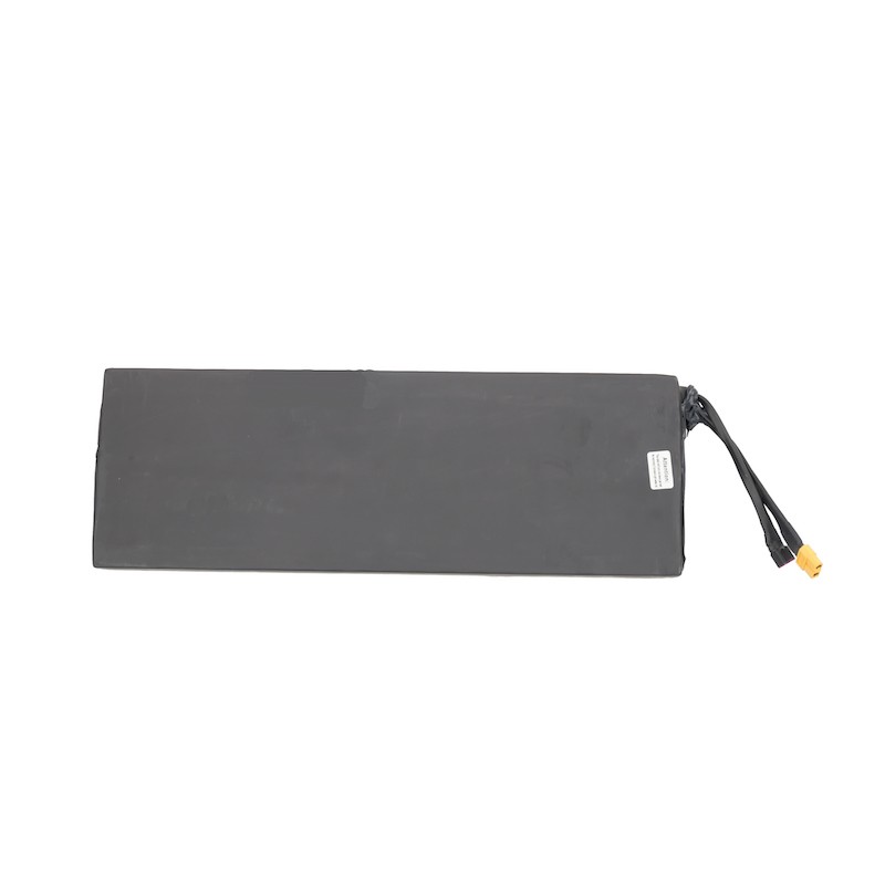 Batterie 48V 16Ah pour Pulse 500