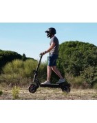 Trottinette électrique adulte