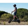 Trottinette électrique adulte