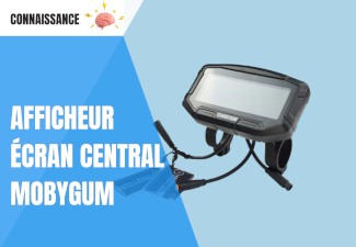 Afficheur écran central MOBYGUM : commandes, réglages et diagnostic